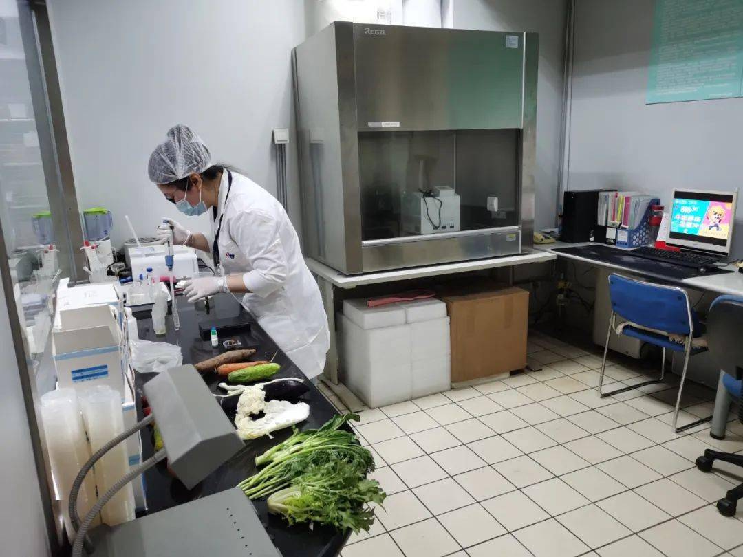 盐津食品检测实验室装修方案